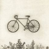 کاور آهنگ Bicycle