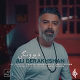 کاور آهنگ دیوونگی