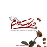 کاور آهنگ دوستت دارم