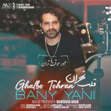 کاور آهنگ قلب تهران