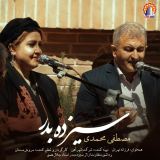 کاور آهنگ سیزده بدر