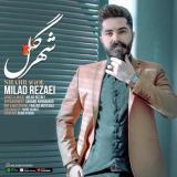 کاور آهنگ شهرگل