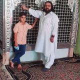 کاور آهنگ تاشا که سگ پر پیرا