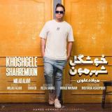 کاور آهنگ خوشگل شهرمون