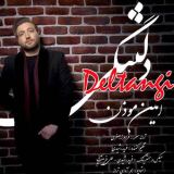 کاور آهنگ دلتنگی