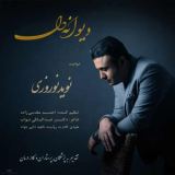 کاور آهنگ دیوانه دل
