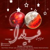 کاور آهنگ شب یلدا