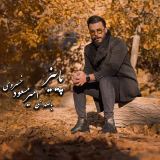 کاور آهنگ پاییز