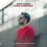 کاور آهنگ گل قرمز