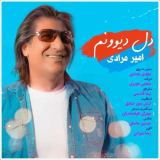 کاور آهنگ دل دیوونم