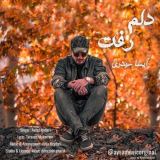 کاور آهنگ دلم رفت