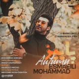 کاور آهنگ پاییز