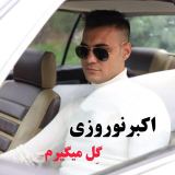 کاور آهنگ گل میگیرم