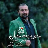 کاور آهنگ دوست دارم
