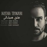 کاور آهنگ عشق همیشگی