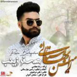 کاور آهنگ همسفر زینب