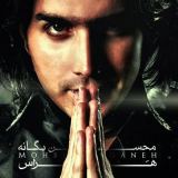 کاور آهنگ هراس