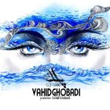 کاور آهنگ پلک