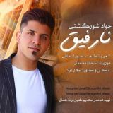 کاور آهنگ نارفیق