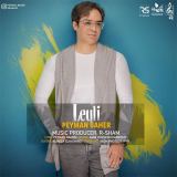 کاور آهنگ لیلی