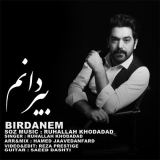 کاور آهنگ بیردانم