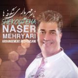 کاور آهنگ شکوفه ها