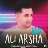 کاور آهنگ دلی