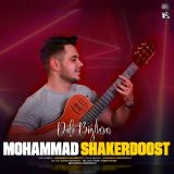 کاور آهنگ دل بی قرار