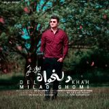 کاور آهنگ دلخواه