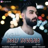 کاور آهنگ دلی دیوانه