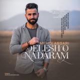 کاور آهنگ دلشو ندارم