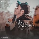 کاور آهنگ کاش بشه