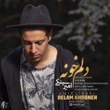 کاور آهنگ دلم خونه
