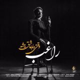 کاور آهنگ وقتی دلم عاشق میشه