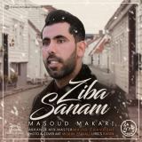 کاور آهنگ زیبا صنم