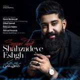 کاور آهنگ شاهزاده عشق