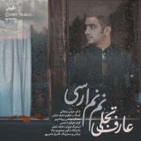 کاور آهنگ نم نم ارسی
