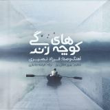 کاور آهنگ کوچه های زندگی