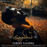 کاور آهنگ شبگردی