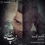 کاور آهنگ نیمه پنهان