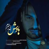 کاور آهنگ بى خبرم