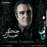 کاور آهنگ فانی