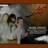 کاور آهنگ شب جدایی