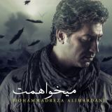 کاور آهنگ میخواهمت