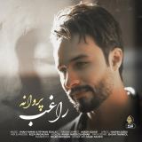 کاور آهنگ پروانه