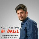 کاور آهنگ بی دلیل