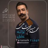 کاور آهنگ ترانه عشق