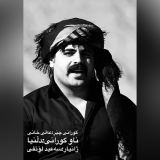 کاور آهنگ دلینا