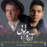 کاور آهنگ آرزوم تویی