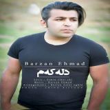 کاور آهنگ دلکم